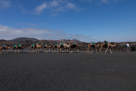 Parque Nacional de Timanfaya